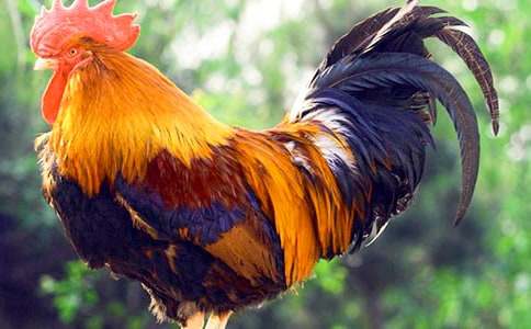 С������СѼ�ӽ�ѧ���(����15ƪ)