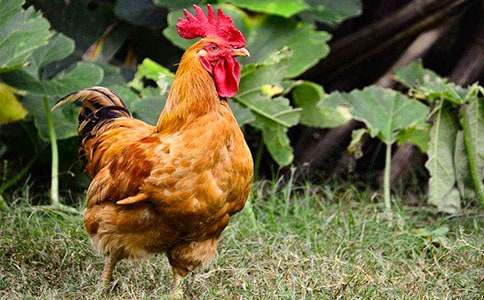 ���������𼦹ڵĹ����̰�4ƪ