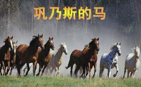 ����˹������ѧ���