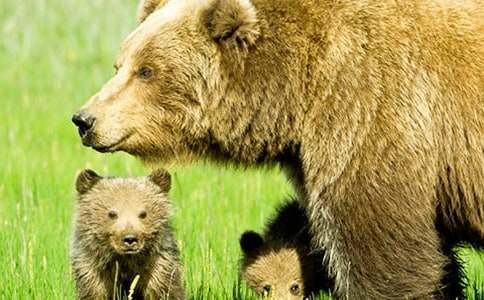 �׽̴����ֻ�����ܽ�ѧ�����ͼ