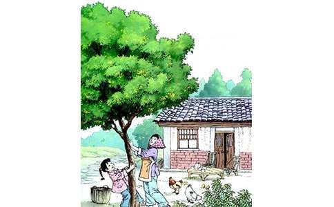 �����ѧ��˼����ѡ20ƪ��