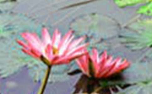 �ɻ���ѧ��˼�ܽᣨ��ѡ24ƪ��