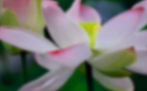 �ɻ���ѧ���ģ��