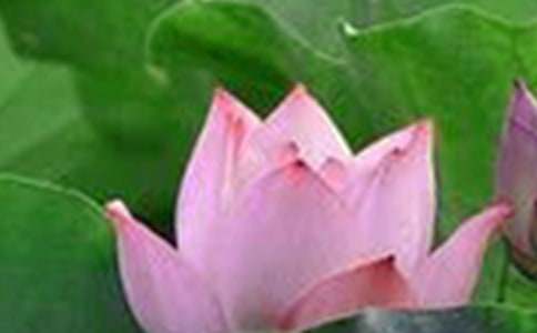 ���ںɻ��̰����ļ�����ƪ