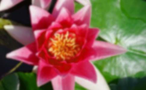 �ɻ��̰�����