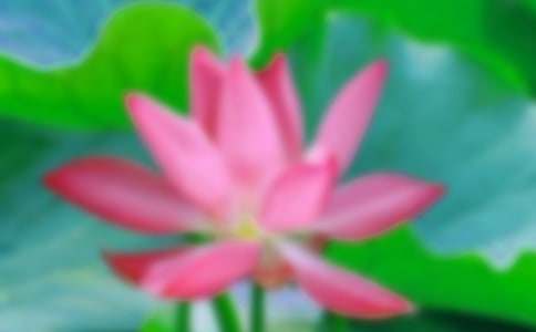 ���ɻ����Ľ�ѧ�������