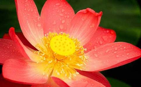 ���ɻ�����ѧ��˼��ͨ��19ƪ��