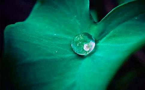 ����ҶԲԲ����ѧ��˼15ƪ�����ϡ�