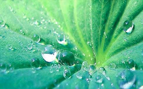 ����Ҷ��ĸ�ס����Ľ�ѧ��˼