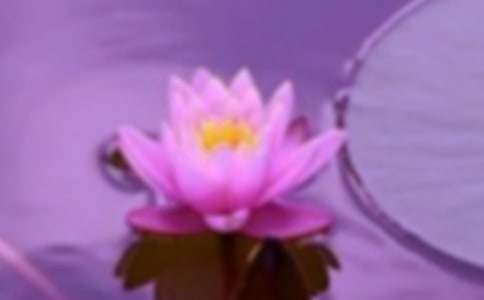 “和谐团队赛”户外活动策划书