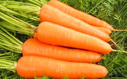 �׶��汾�����ܲ����ӡ�˵�θ�