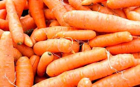 �����ܲ������ĳ����ӡ��̰�