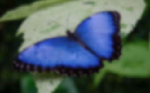 ��̨��ĺ����ȡ��̰�