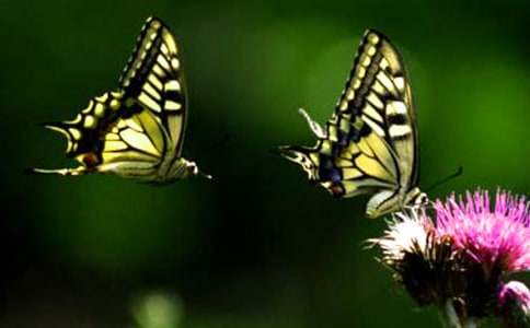 С�ཡ����ѧ��Ʒ��ġ���������ëë�桷