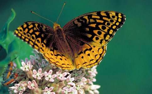 �������ļҡ���ѧ��˼��ͨ��5ƪ��