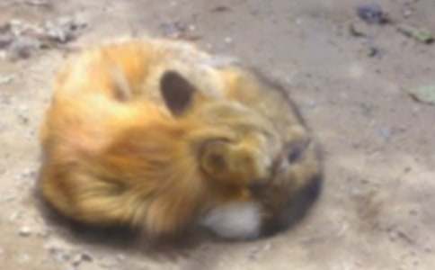 ���������ѻ���̰����ĺϼ�10ƪ