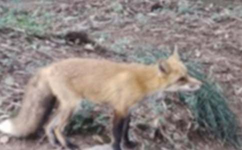 ���������ѻ���̰���ͨ��21ƪ��