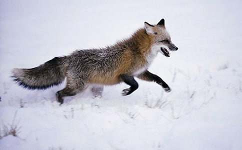 ʵ�õġ��������ѻ���̰�4ƪ