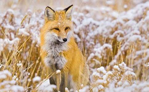 ������Խ̰���ѻ�ͺ���