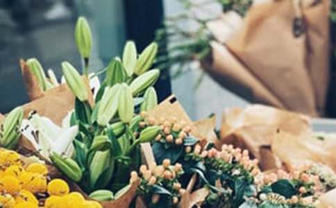 花店项目策划书2篇(合集)