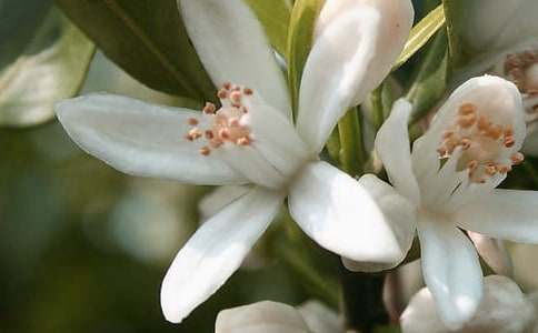 �����䡷��ѧ���