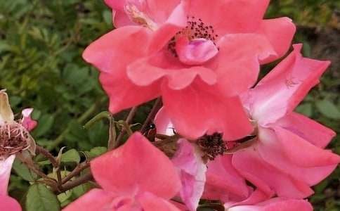 �������Ļ����ѧ���