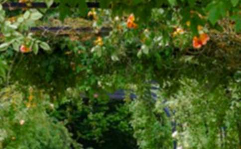 ���˵Ļ�԰���Ľ�ѧ��˼��ͨ��20ƪ��