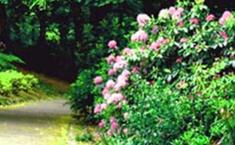 �����˵Ļ�԰����ѧ���(ͨ��15ƪ)