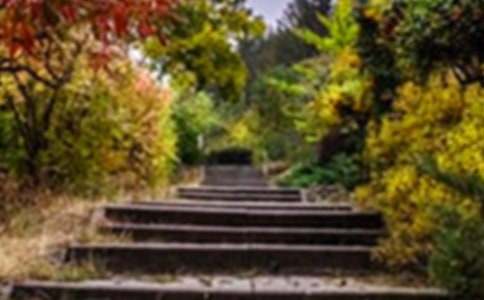 �����˵Ļ�԰����ѧ��˼(�ϼ�15ƪ)