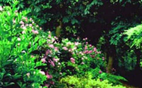 ���ھ��˵Ļ�԰˵�θ���ܰ�ƪ