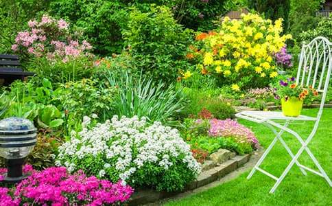 ���꼶�����˻�԰����ѧ���