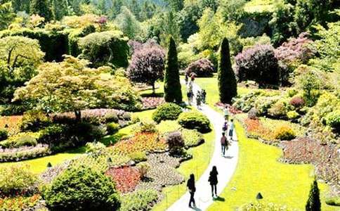 �����������˵Ļ�԰����ѧ��˼