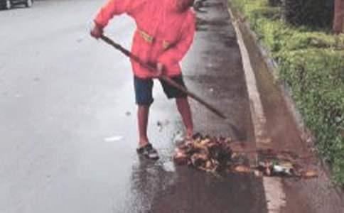 ���������ܽᣨͨ��22ƪ��