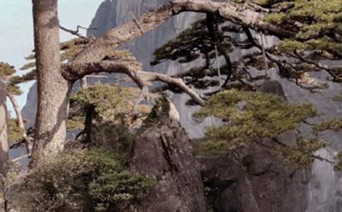 ����ɽ��ʯ����ѧ��˼����ѡ13ƪ��