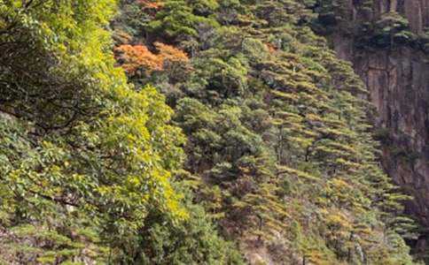 ��ɽ����˵�θ�