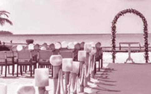 ����Ů�������´�(����15ƪ)