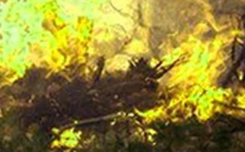 С�లȫ���ʶ���ֽ̰�