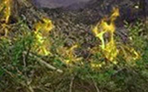 �������ַ��ذ�ȫ�̰����ģ���ѡ5ƪ��