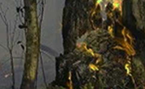 有关火灾防控的工作总结15篇