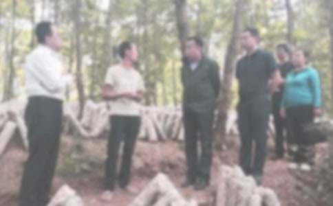 纪检部工作总结(通用20篇)