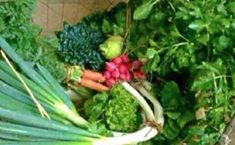 ��������ϸ�������̰�