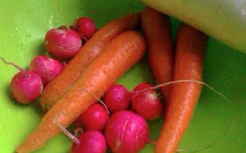 �������ʿν̰�����ѧ��˼