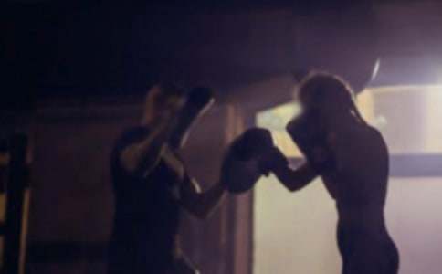 ������������ܽ�(8ƪ)