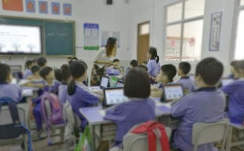 С����ѧ��˼(����15ƪ)