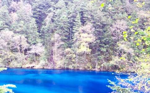 ���˵ľ�կ����ѧ���3ƪ�����䡿