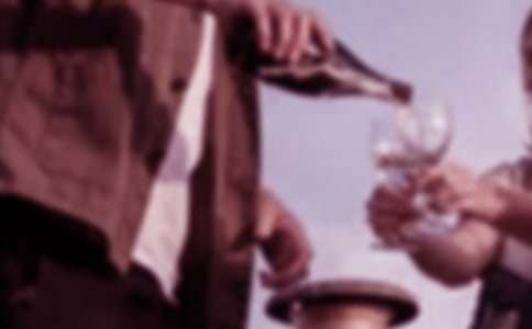 �ƻ����뺯�ϼ�5ƪ