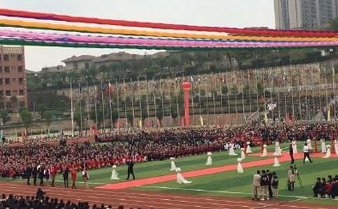 ��ѧ�������ܽ�