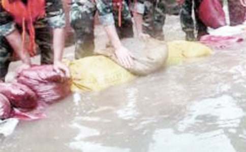 ��Ѵ������ֹ����ܽἯ��3ƪ