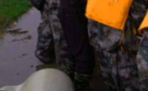 防汛抗洪工作总结