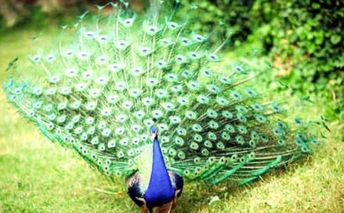 �����ȸ����������ѧ��˼